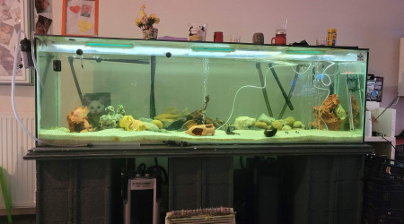 aquarium Paisible