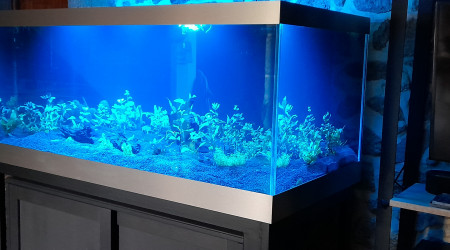 aquarium Aquaholl