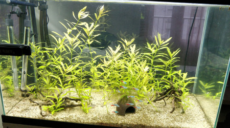 Après déménagement