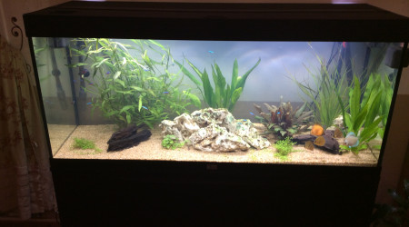 aquarium 300 l