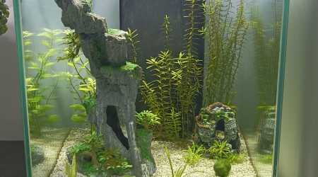 aquarium Betta 40L