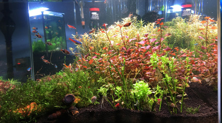 Vu de Coter de la Tank