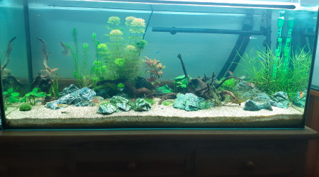 aquarium Bac 240L