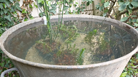 aquarium Bassine 80 L