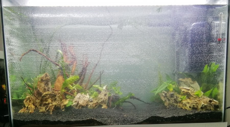 aquarium La Bête hardscape