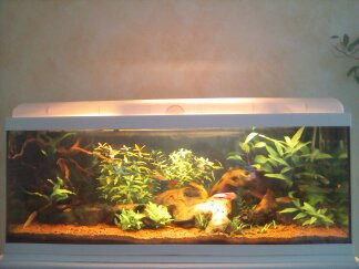 configuration 2017-3