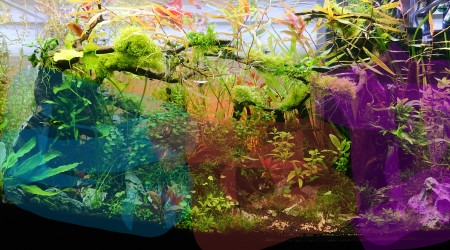 La répartition des territoires