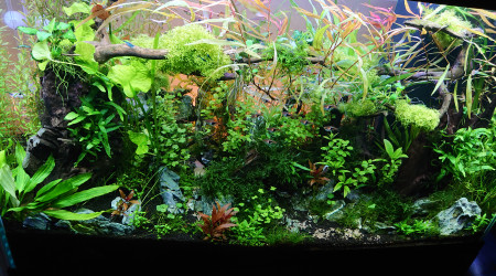 Changement de l'orientation de la Tripartita 3