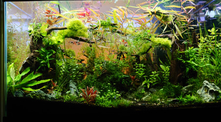 Changement de l'orientation de la Tripartita 2