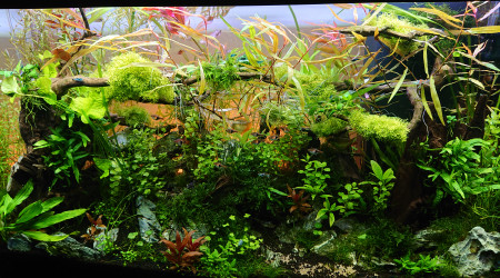 Changement de l'orientation de la Tripartita 1