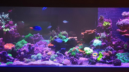 Évolution de l'aqua