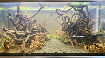 Poursuite du cyclage