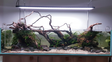 Rescape