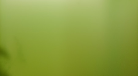 Eau verte pour Crustacé daphni