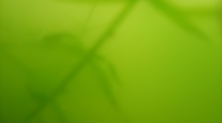 Eau verte pour Crustacé daphni