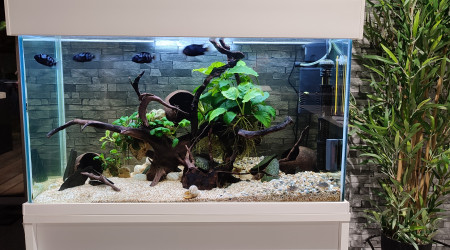 aquarium Aquarium blanc 100 litres