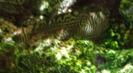 Gastromyzon sewelloa