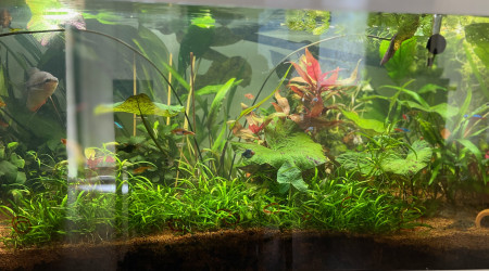 aquarium Aquatlantis style led