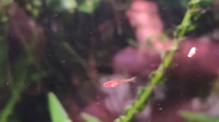 Ça n'arrête plus !