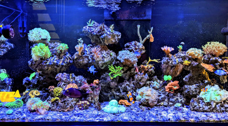 aquarium Reefer 425XL