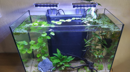 Ajout d'une seconde lampe