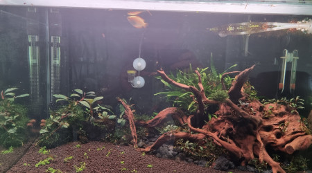 Changement de sol et reorganisation du bac