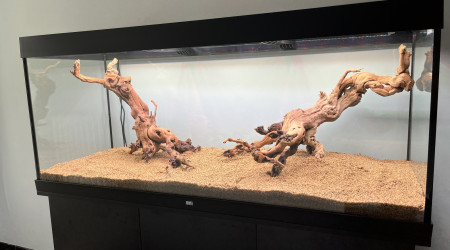 450l - installation du décor