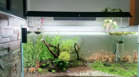 aquarium Eheim Cleartank 200l