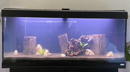 aquarium Aquarium 240L