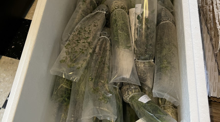 Plantation et remplissage