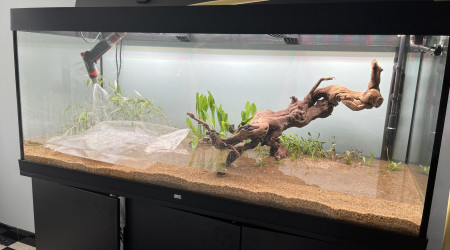 Plantation et remplissage