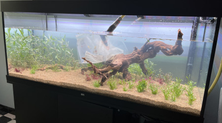 Plantation et remplissage