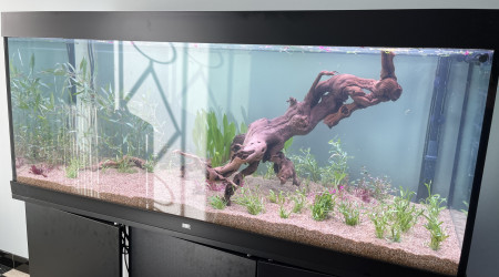 Plantation et remplissage