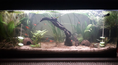 Retour à la (presque) normale