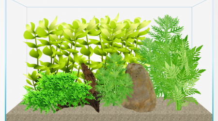 Juste pour illustrer un peu