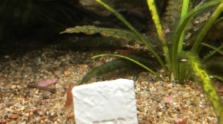 Une communication spéciale à faire ?