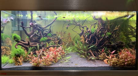 aquarium Eheim Proxima 250