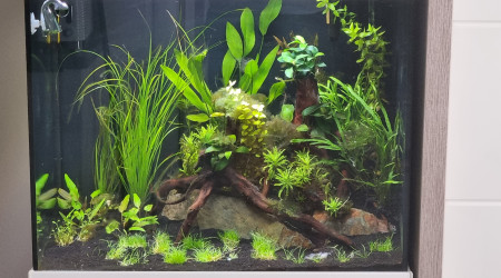 aquarium Aqua 130l