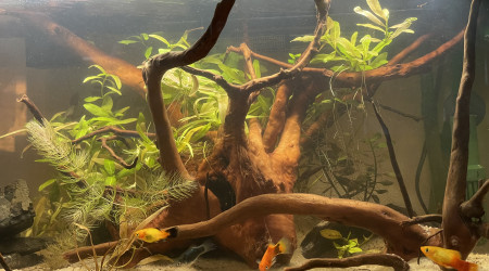 Ajout pompe extérieur