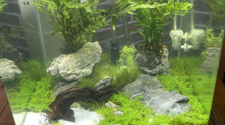 aquarium Dennerle nano 60 litres