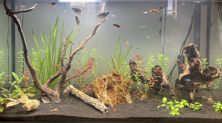 aquarium Salon