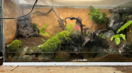 aquarium PALUDARIUM