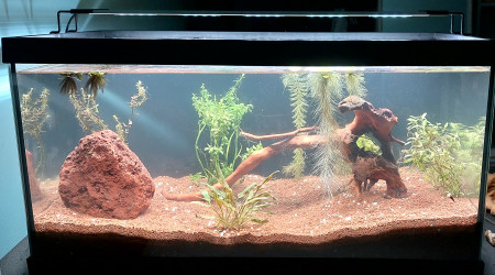 Bac 60L remise à zéro (killis)