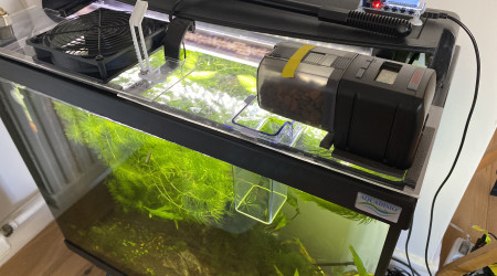 Installation estivale ventilateur avec thermostat et distributeur de vacances