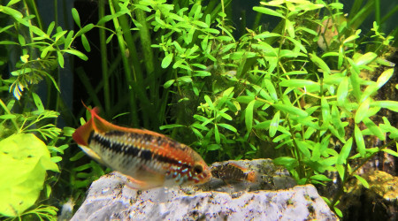 Petit instant père fils...