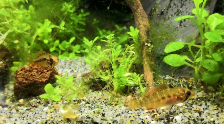 Petit instant père fils...