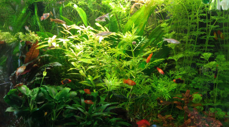 Post retour de vacances