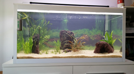 aquarium 250l