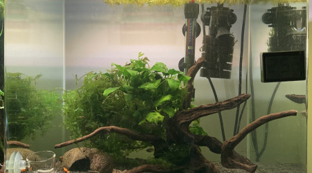 aquarium Nano Aquarium 60