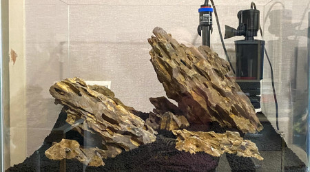 Hardscape du 70L